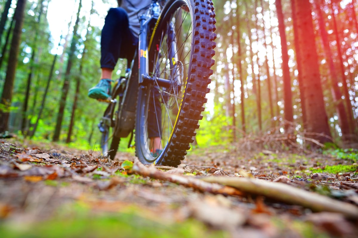 Cyclist on a bicycle in forest trail