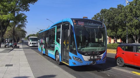 Blue and white public transit bus on a tree-lined city street with vehicles and pedestrians nearby